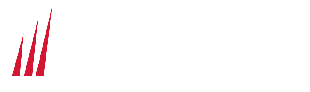Schatzair Logo White 1